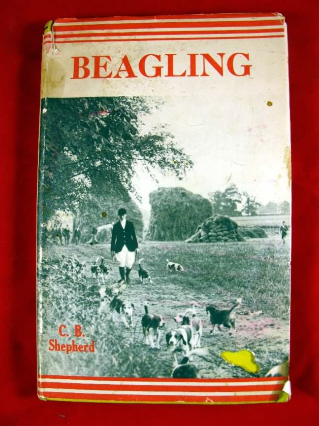 book "beagling" by c b shepard